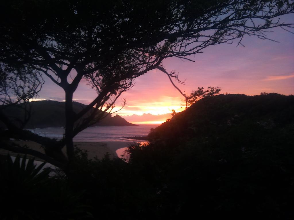 Port Saint Johnʼs The Lodge On The Beach الغرفة الصورة